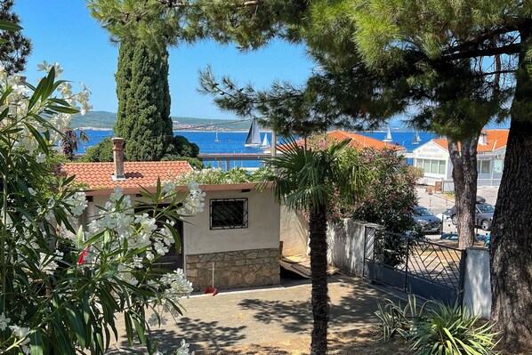 Une vue sur la côte, avec un petit bâtiment, un palmier et un ciel bleu dégagé.
