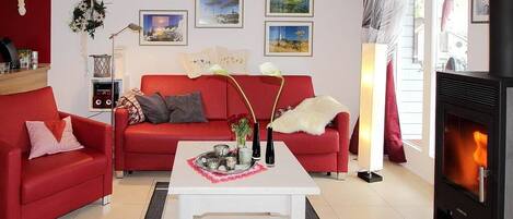 TV, fireplace, DVD player, books