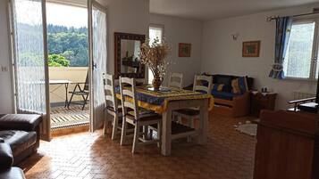 TV, fireplace, DVD player, books