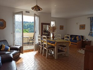 TV, fireplace, DVD player, books