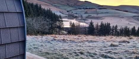 Cabin, 1 King Bed | Property grounds