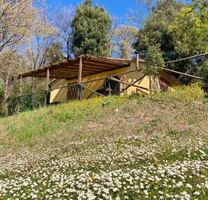 Exterior - La Capinere 2 2 (Montescudaio)