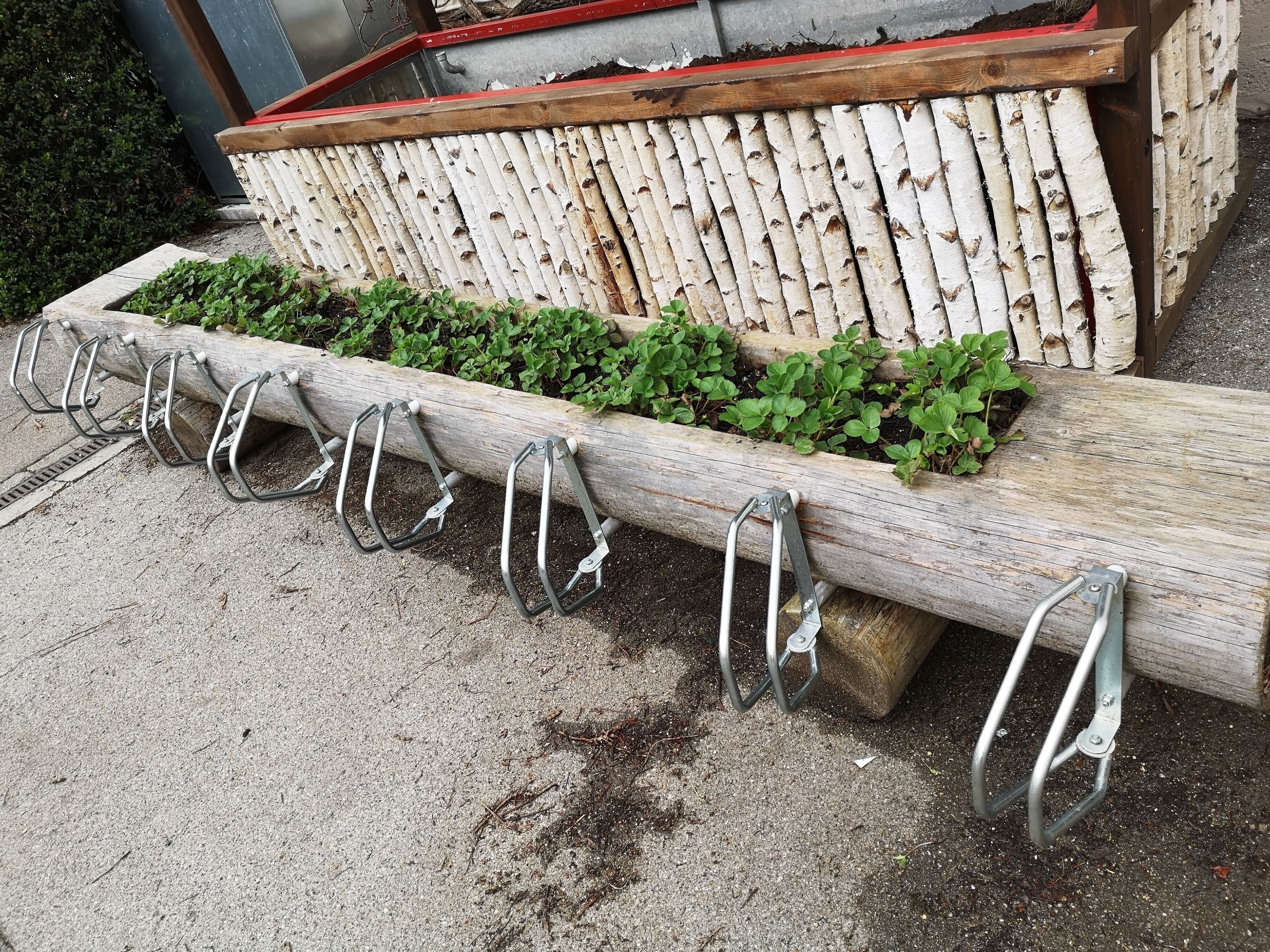 Een betonnen plantenbak met metalen ringen om spullen aan op te hangen, een houten bank met een rode zitting, en een rij groene planten.