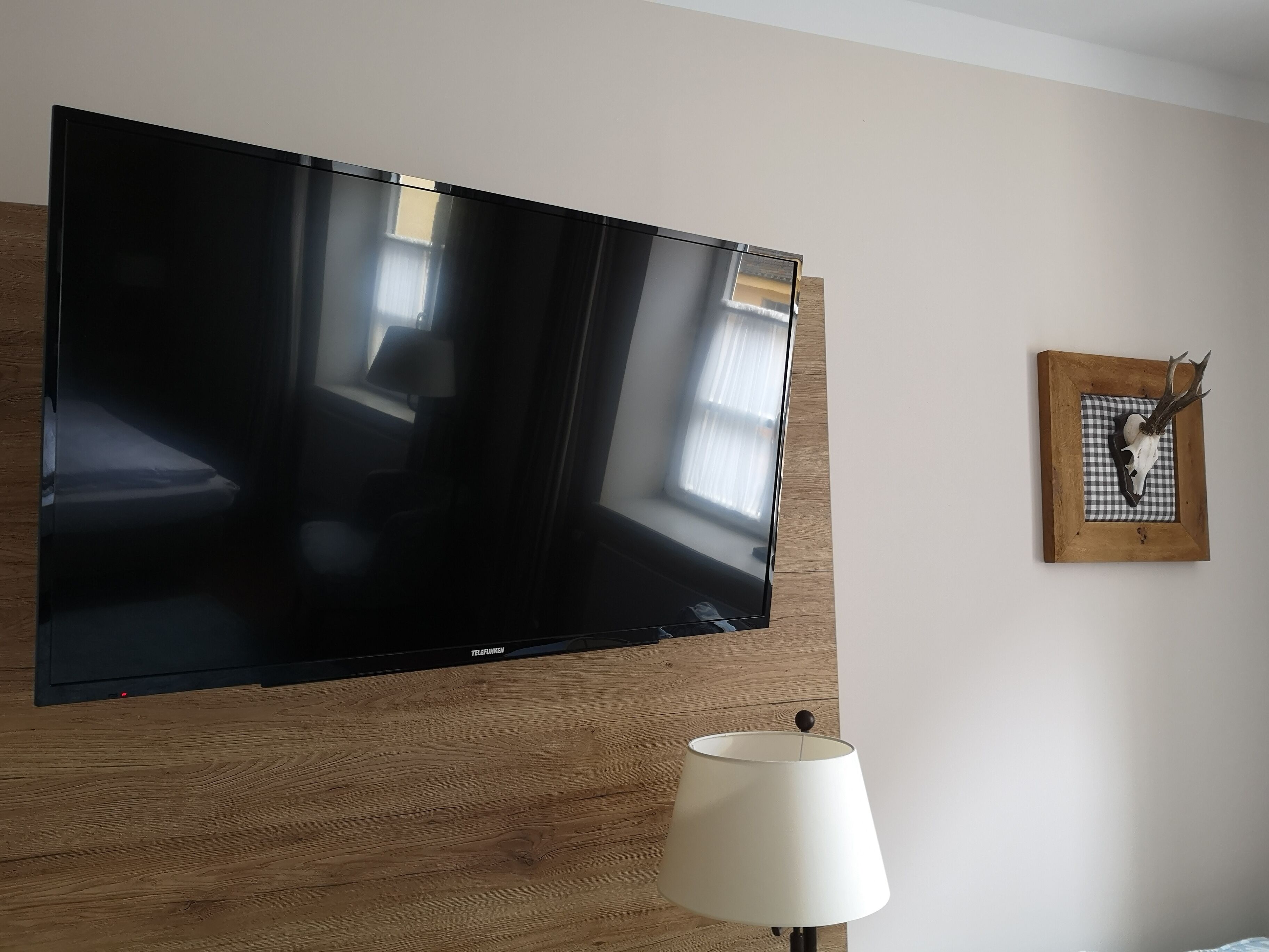 A flat-screen TV mounted on a wooden wall, a lamp, and a framed deer skull on the wall.