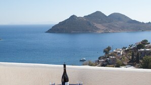 A table with a bottle and glass on a terrace overlooking a coastal view with mountains and a boat in the distance.