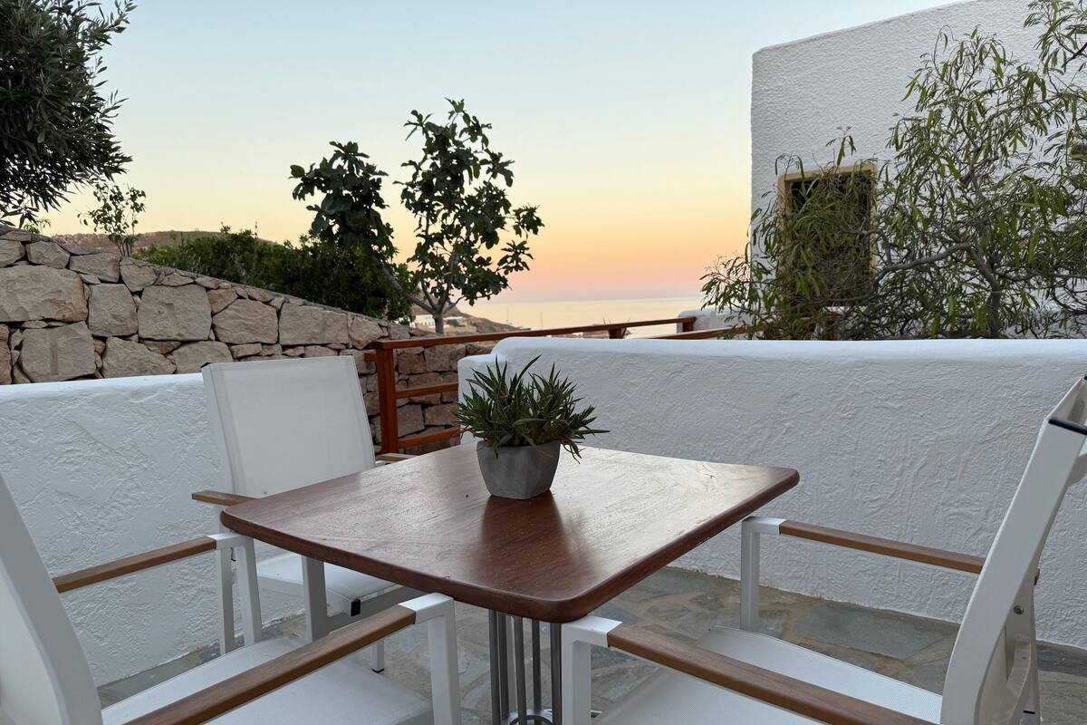 A terrace with a table and chairs, a potted plant, and a view of the sea at sunset.