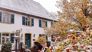 A traditional building with a tiled roof, a green door, and multiple windows with shutters. - Landgasthof Büttel (Strullendorf)