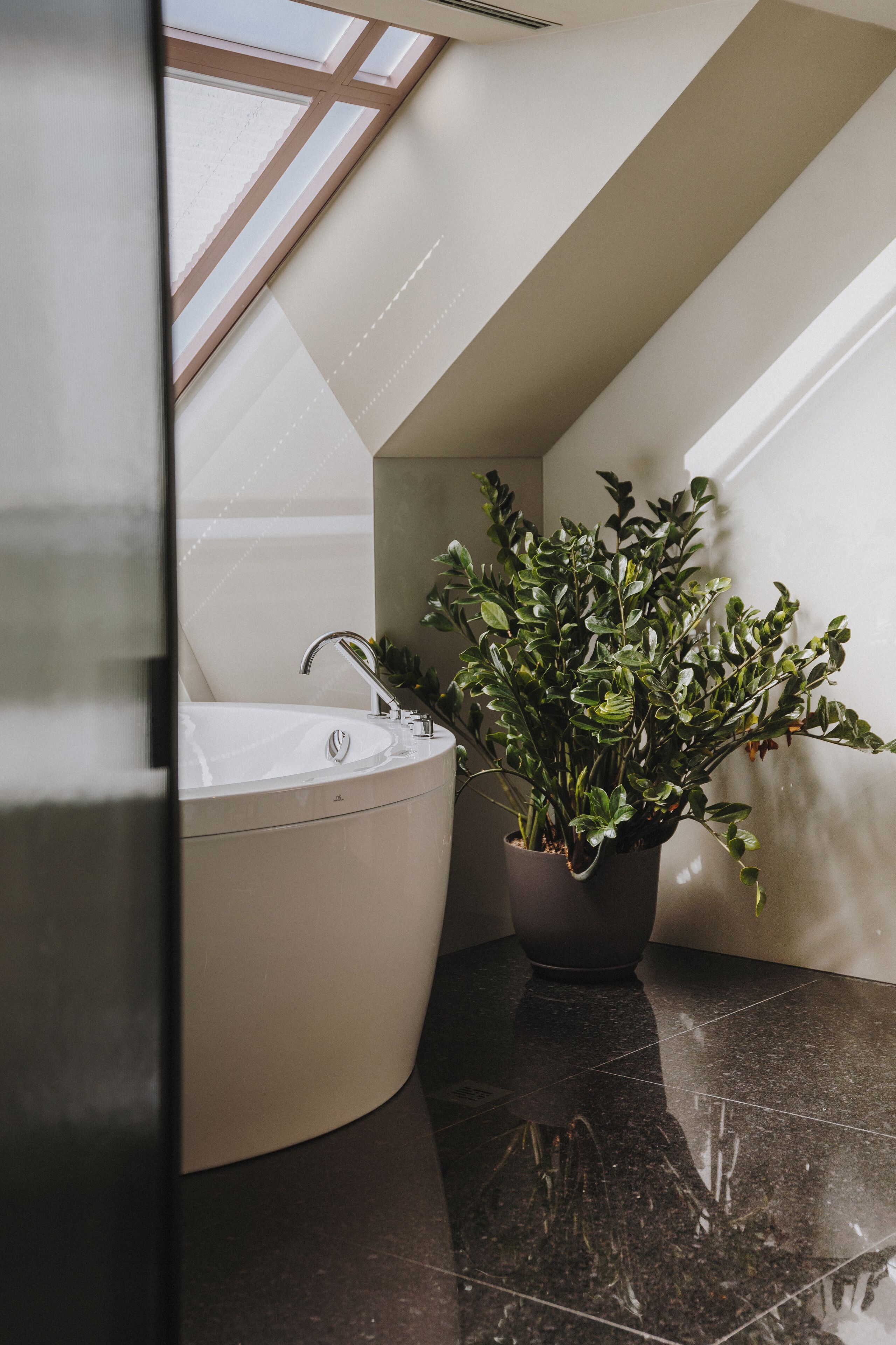 Foto - Timbre Virtudes