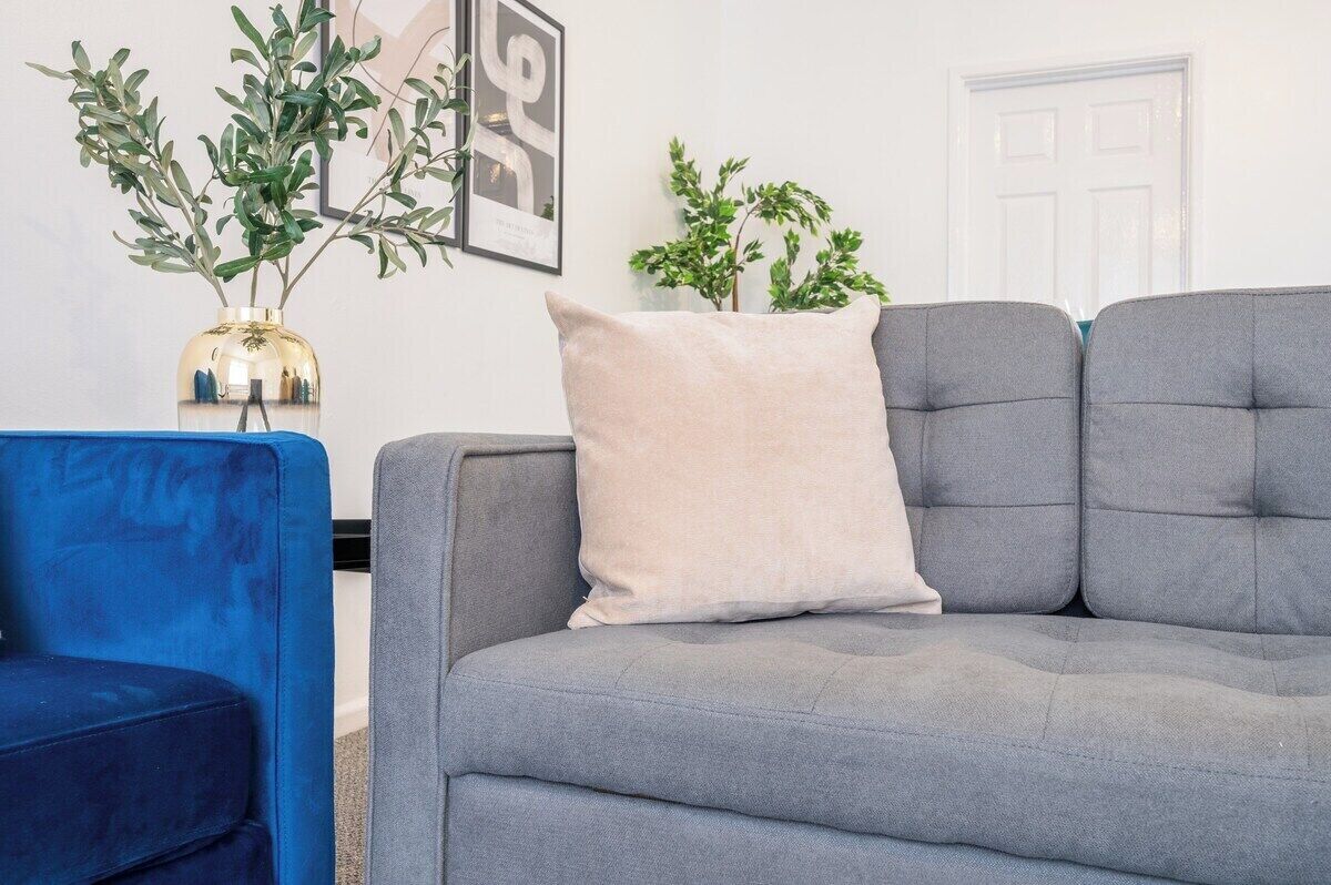 Télévision, Netflix, services de streaming