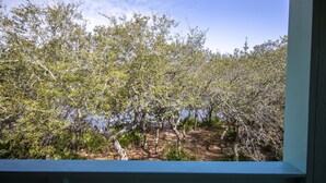 A view of a garden with various trees and a wooden deck. -  Lake front, with Gulf View! Perfect for large groups! 10 min walk to beach. (Blue Mountain Beach)