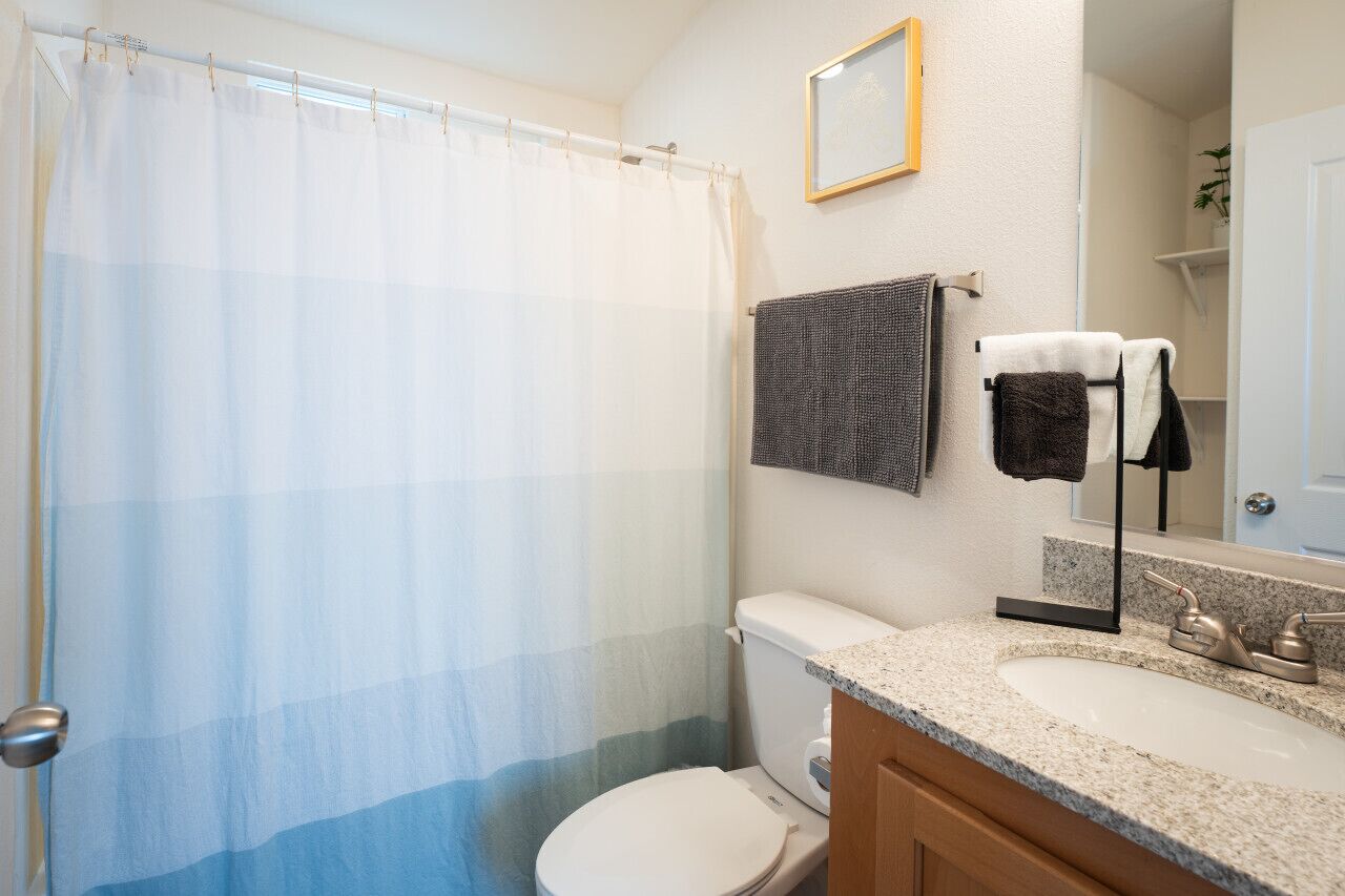Baño con cortina de ducha, inodoro, lavabo y toallero.
