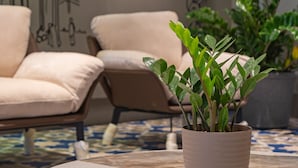 A modern living room with a round coffee table, beige sofas, and a potted plant. - Republic Inn (Tirupati)