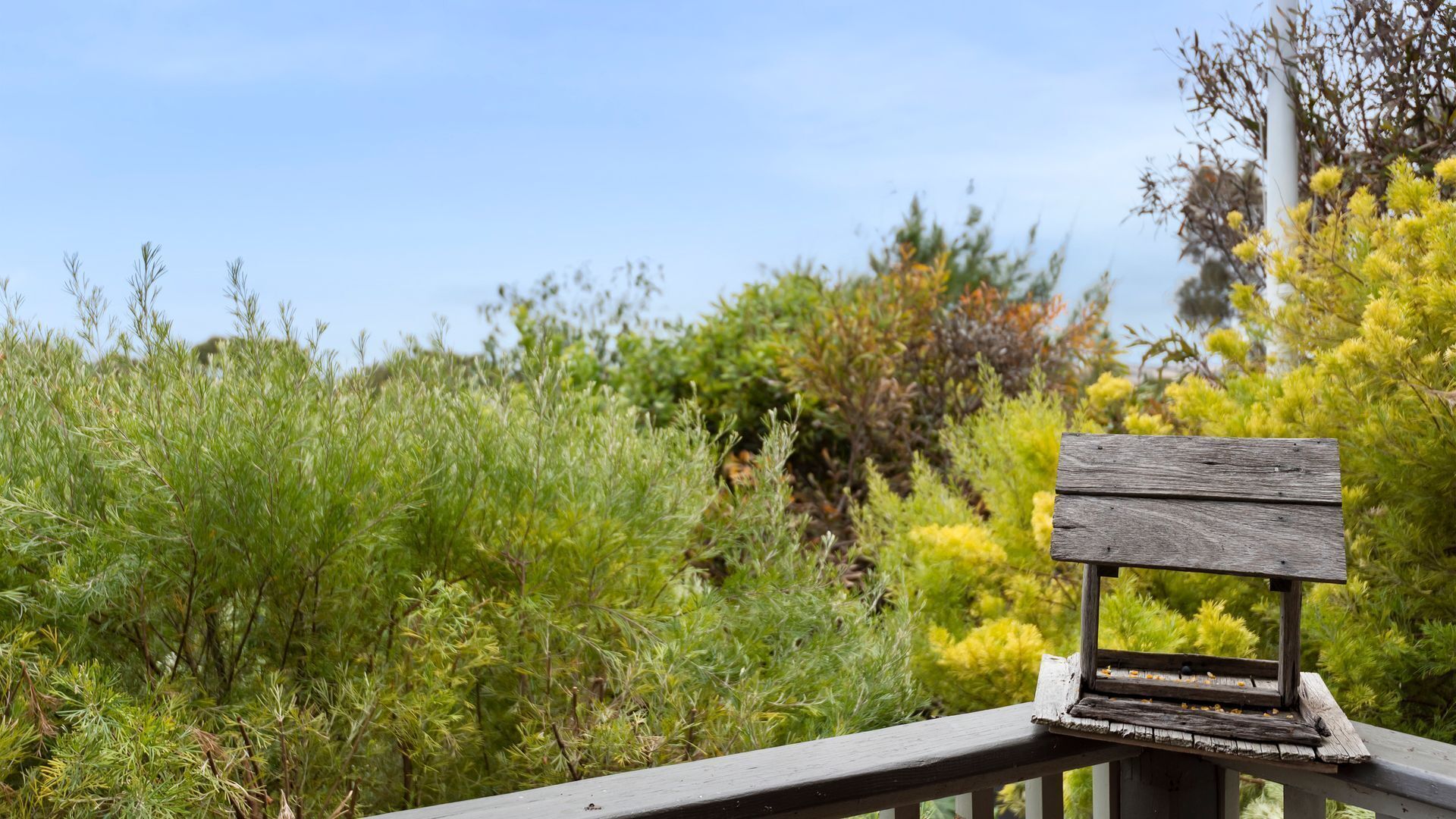 A wooden bench with a bird feeder on a railing, surrounded by dense greenery and trees.