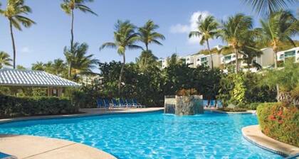 No Steps To The Beach & Views Of The Pool & Ocean