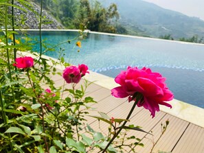 Outdoor pool - ARISTA HOMESTAY SAPA (Sa Pa)