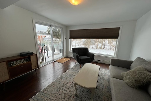 Televisor intel·ligent i llar de foc