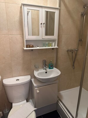 Hair dryer, towels, soap, shampoo