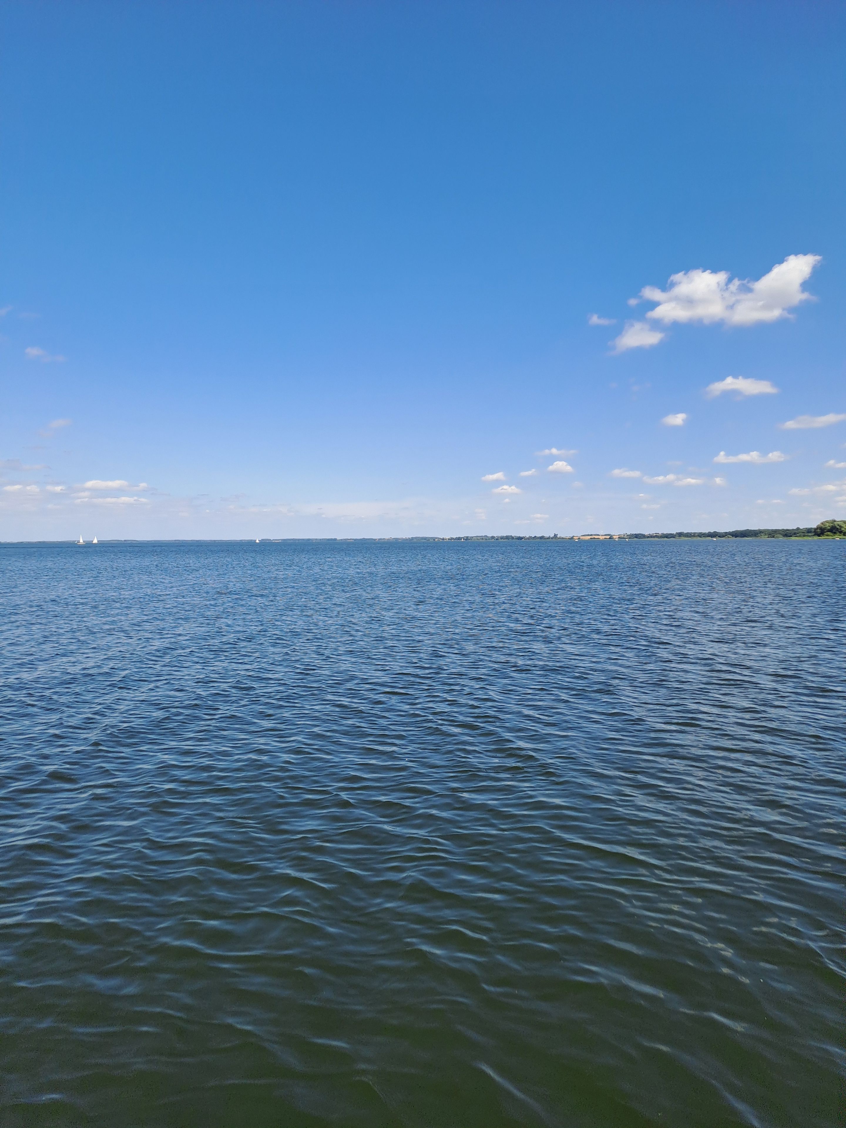 Diverse