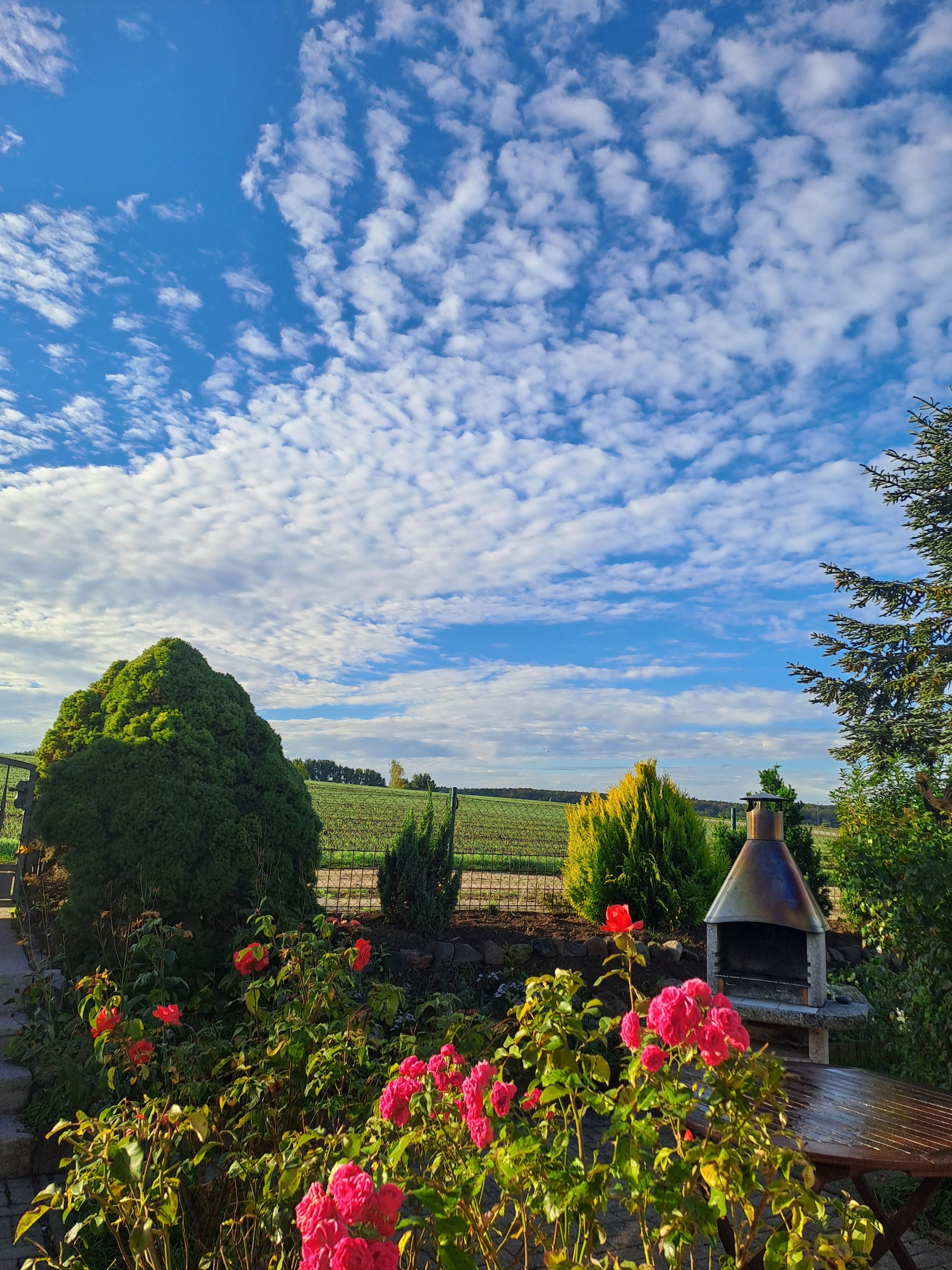 A garden with a barbecue area, a large tree, and a field in the background.