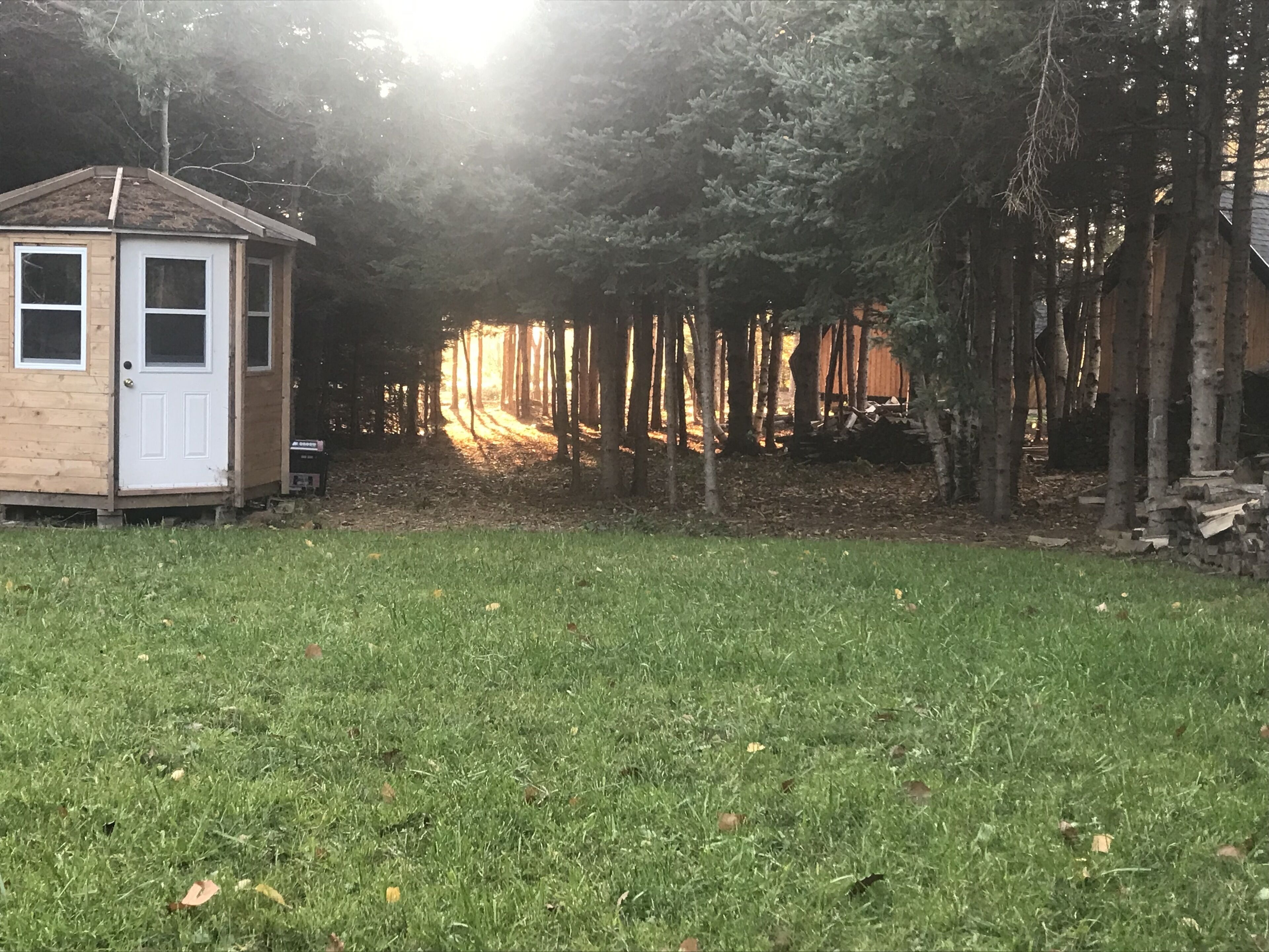 A small wooden cabin with a door and windows, surrounded by a grassy area and trees.