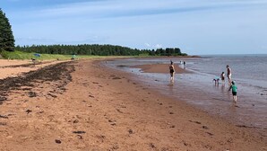 Une plage où l’on voit des gens se promener et jouer, une forêt en arrière-plan et un ciel dégagé.