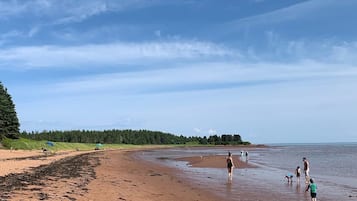 Beach nearby, beach volleyball