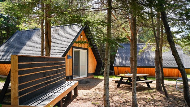 Une cabane rustique avec un toit en pente, un banc en bois et une table de pique-nique, située dans une zone boisée.
