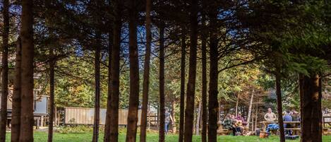 A forested area with picnic tables and people sitting and walking.