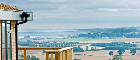 المنطقة المحيطة بالمنشأة