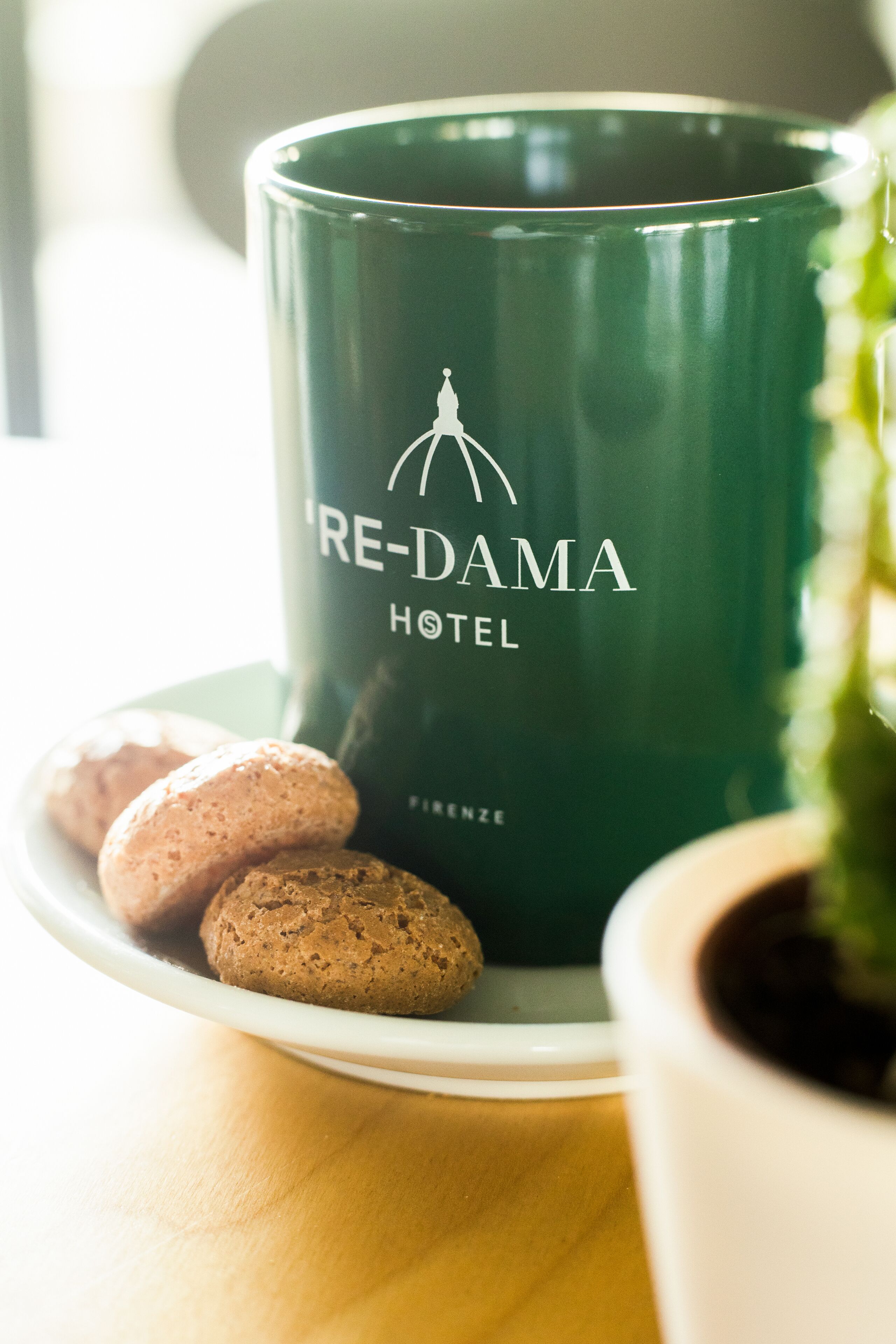 Photo - 'Re-Dama Hostel