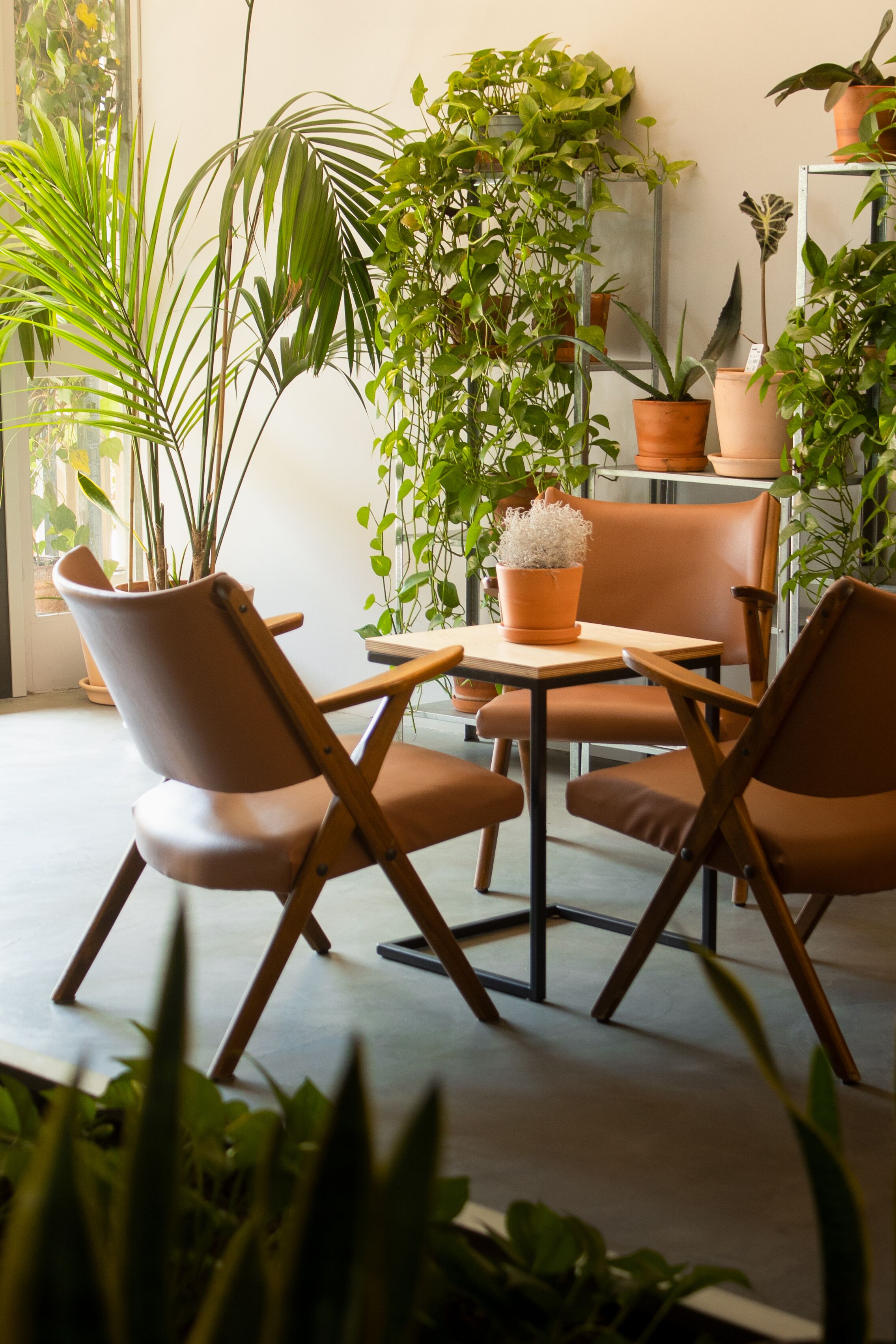 A modern interior with a round table, two brown leather chairs, and various potted plants.