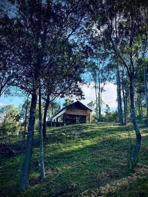 Overnattingsstedets uteområder