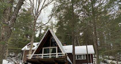 Cozy & Private: waterfront retreat on 20 acres of beautiful forest