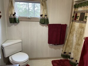 A bathroom with a toilet, a shower curtain with animal prints, and a window with curtains.