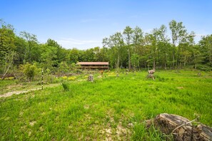 Property grounds - Forest Retreat - Sleeps 30 - 2 minutes from boat launch (Dowling)