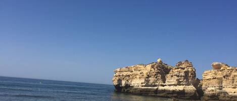 Lettini da mare