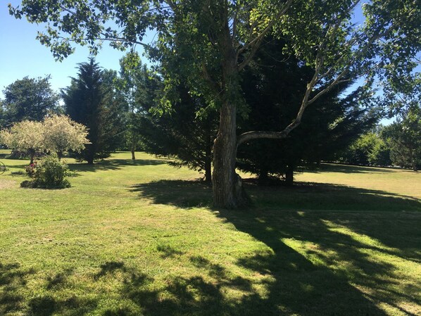 Terrein van de accommodatie