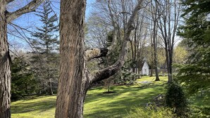 A grassy yard with trees and a hammock.