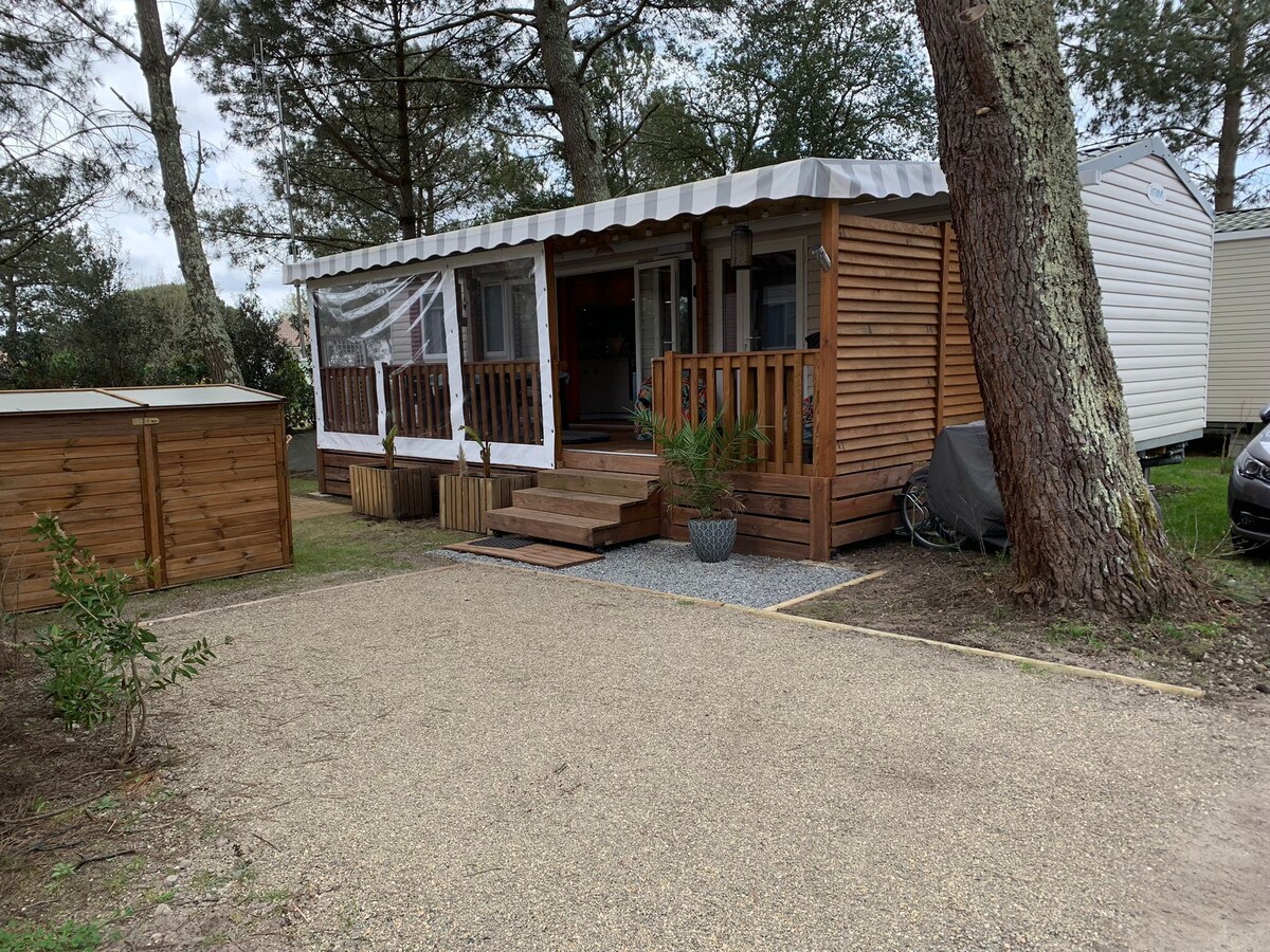 オーナーのプロフィール画像