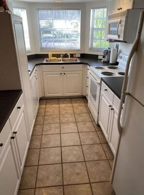 Private kitchen - Jim Miller's Safari Premium Theme Condo (Lutz)