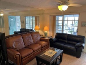 Living area - Jim Miller's Sky View - 520 (Lutz)