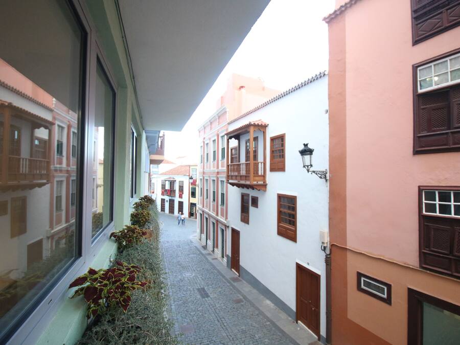 A narrow street with buildings on either side, a cobblestone path, and a window with plants on the left.