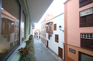 Una calle estrecha flanqueada por edificios, con un camino adoquinado y una ventana con plantas a la izquierda.