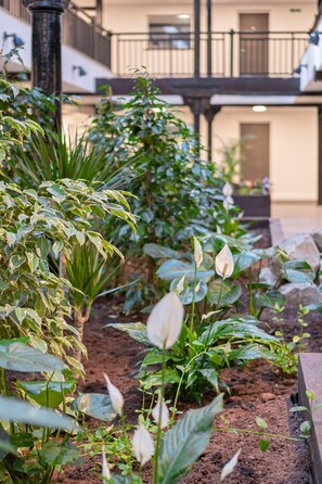Guests can enjoy a serene garden area with a variety of plants and shrubs, surrounded by a fence and offering a tranquil escape.