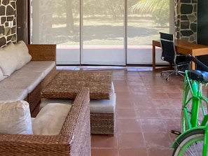 A room with a sofa, a green bicycle, and a view through a glass door.