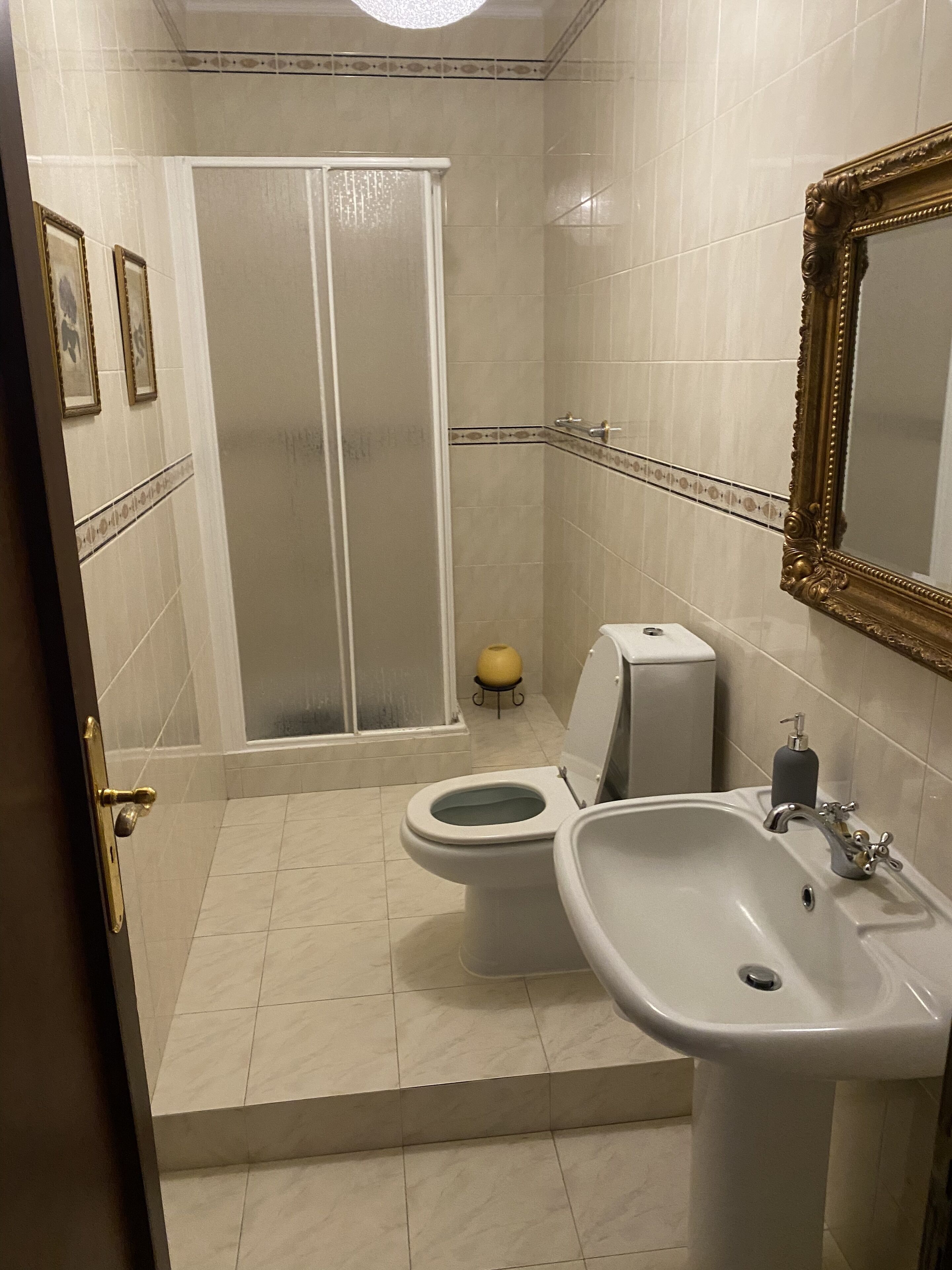 hair dryer, bidet, towels, soap