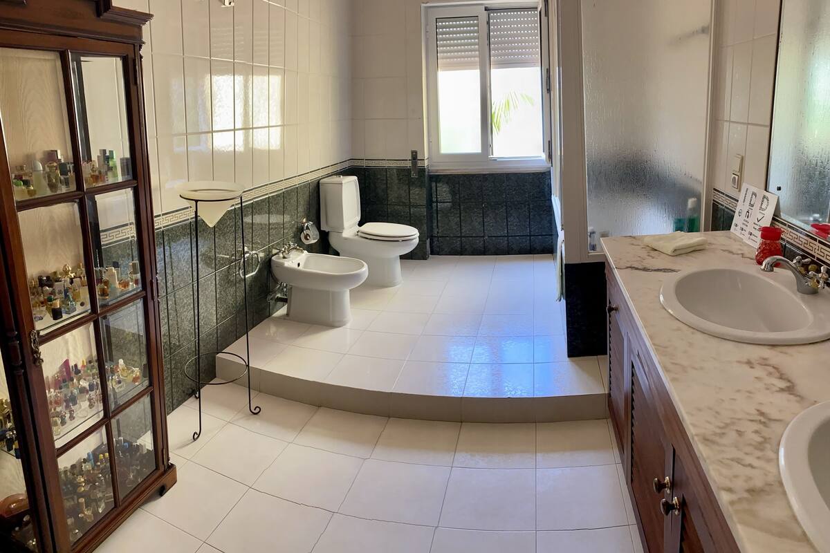 hair dryer, bidet, towels, soap