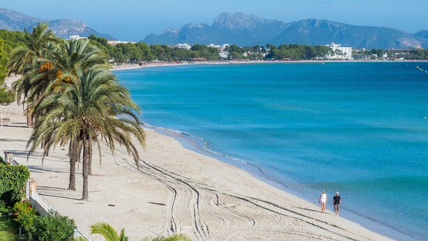 A beach with palm trees, a clear blue sea, and mountains in the background.