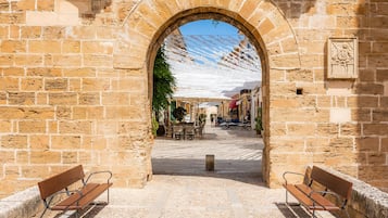 Terras