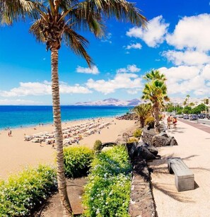 Une plage bordée de palmiers, un banc en pierre et un ciel bleu azur.